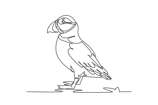 Single continuous line drawing animal Atlantic puffin bird standing alertly, polar coastal wildlife biodiversity, pelagic seabird perched peacefully. One line draw graphic design vector illustration
