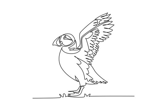 Single continuous line drawing Atlantic puffin standing with wings raised high, distinctive large triangular beak, eye facial markings and webbed feet. One line draw graphic design vector illustration