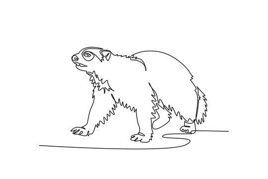 Single one line drawing fierce Arctic wolverine turning its head while prowling across tundra terrain, thick shaggy coat, alert facial features. Continuous line draw design graphic vector illustration