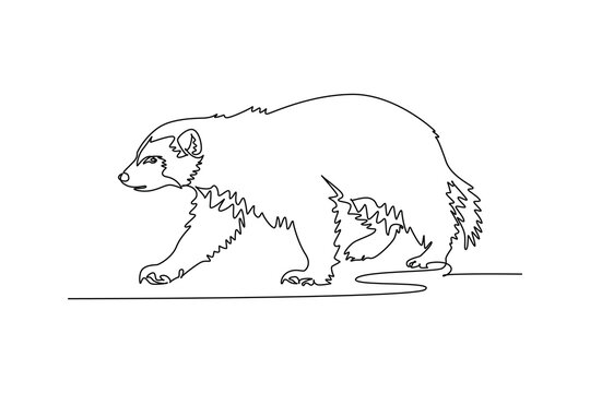 Single one line drawing Arctic wolverine stalking along snowy ground. Dense bushy fur, low predatory stance, rounded ears, sturdy clawed paws. Continuous line draw design graphic vector illustration