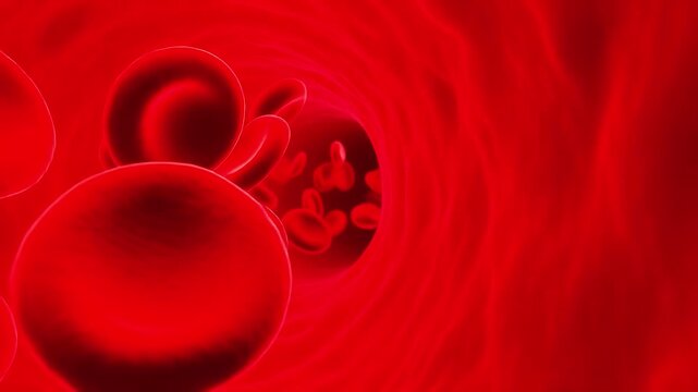Red Blood Cells in Vein: A close-up view inside a blood vessel, showcasing numerous red blood cells flowing through the vibrant, red plasma.