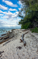 plage sauvage en Polynésie © Temanu