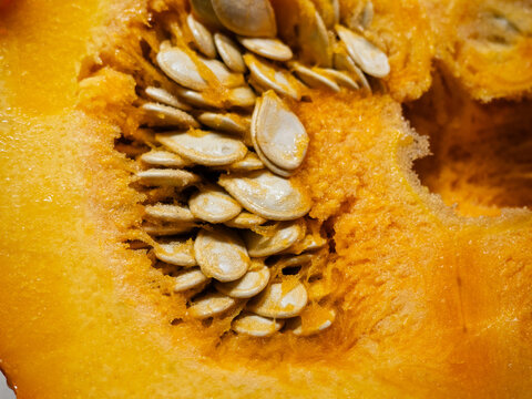 Extreme macro texture of raw pumpkin seeds embedded in orange fibrous inner pulp