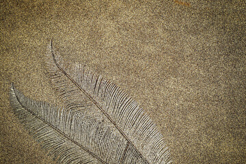 Gold glitter paper with feather detail for Christmas and New Year card backgrounds © Fleuronica
