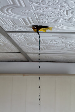 Water leaking through damaged ceiling tile inside house during rainstorm. Ceiling water leak from broken roof or pipe inside residential home