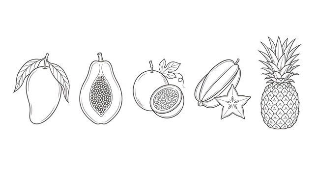 Vector line art illustration set of exotic tropical fruits including mango papaya passion fruit starfruit and pineapple isolated on white
