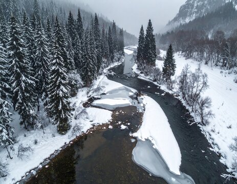 Une rivi&egrave;re sombre serpente dans la vall&eacute;e enneig&eacute;e bord&eacute;e de conif&egrave;res charg&eacute;s de neige sous un ciel hivernal brumeux o&ugrave; la lumi&egrave;re diffuse accentue les textures glac&eacute;es et