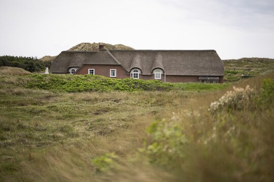 Traditional longhouse with thatched roof surrounded by beach oats and dunes, Houvig, North Sea, Denmark