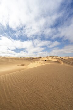 Sand dunes with wave patterns, dune sea, sandy desert, impressive desert landscape, Namib Naukluft Park, Namib desert, Namibia