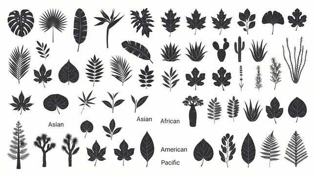 Collection of various tropical and temperate plant leaves silhouettes for botanical design elements.