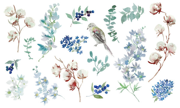 Watercolor Winter Botanical PNG Clipart Set with Abstract Hand-Painted Cotton Flowers, Delphiniums, Berries, Leaves and Bird for Wedding Invitations, Holiday Cards and Surface Design