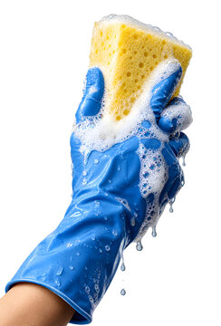 Hand Wearing Blue Rubber Cleaning Glove Holding Soapy Yellow Sponge with Foam Isolated on Transparent Background