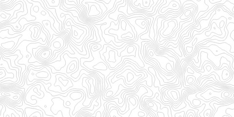 Abstract grid landscape topography white background. white and black relief line wireframe isoline location diagram world map texture design.   © MOHAMMAD