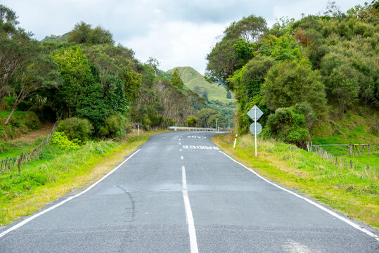 Okau Road - New Zealand