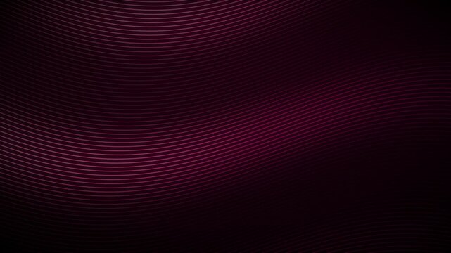 Flowing line waves in crimson and rose - luxury abstract looping background 4K