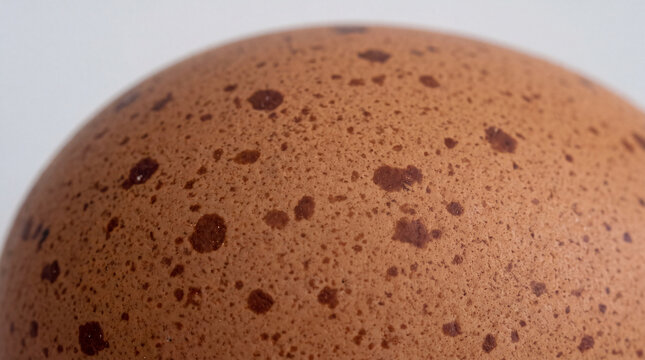 Macro Brown Speckled Eggshell Texture Close-Up
