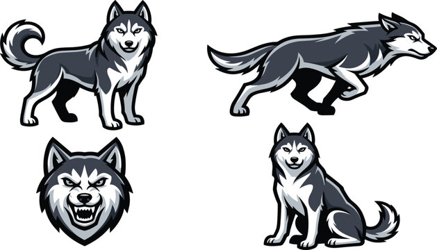 Siberian Husky and Alaskan Malamute Mascot Vector Set Featuring Running Sitting Standing and Fierce Growling Head Icons for Sports Team Crests and Gaming Branding