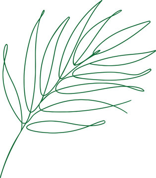 Minimalist continuous line drawing of a tropical leaf Vector