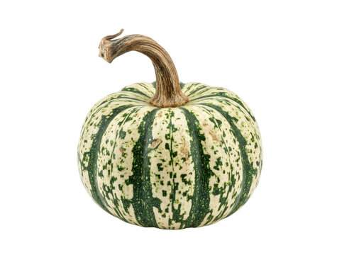 Green and white speckled pumpkin with curved stem isolated on transparent background.