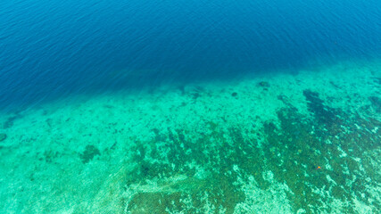 Top view of natural coral formations in shallow sea water with rippling sun reflections, perfect for summer vacation, snorkeling, and environmental conservation themes. concept environment lagoon. © Media 