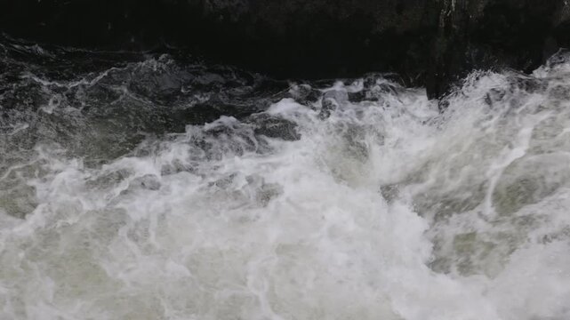 a close high frame rate shot of pink salmon jumping up ketchikan creek falls at juneau, alaska of the usa