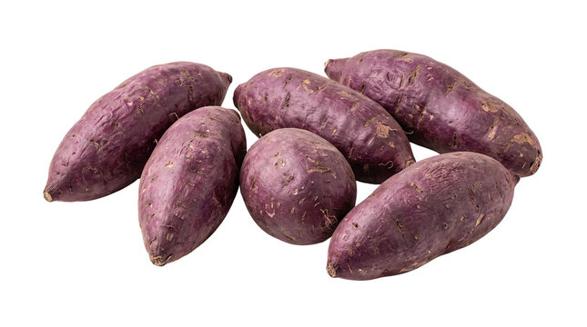 Purple sweet potatoes with textured skin, fresh organic Japanese yams, group of raw purple batatas for healthy cooking and nutrition isolated PNG with Transparent Background