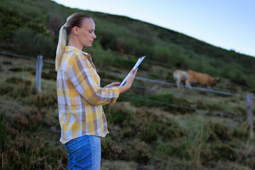 Farm worker reviewing herd information on a handheld clipboard, monitoring cattle grazing behind a fence in a green countryside pasture during routine livestock management © Елена Попова