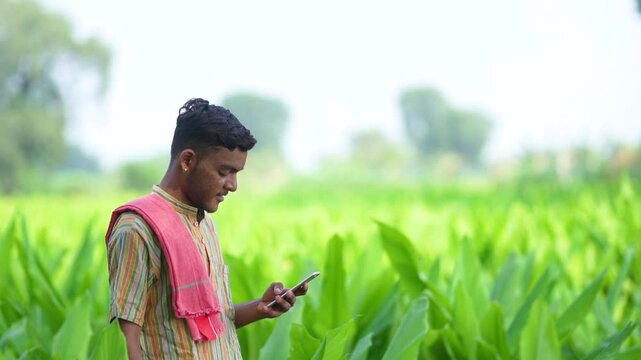 Indian farmer using mobile phone at green turmeric agriculture field 