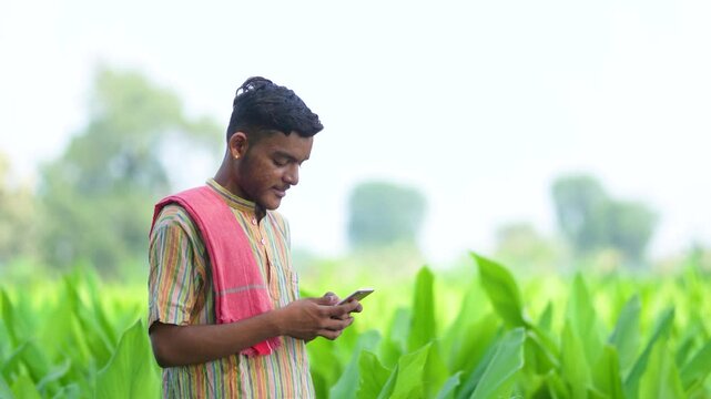 Indian farmer using mobile phone at green turmeric agriculture field 
