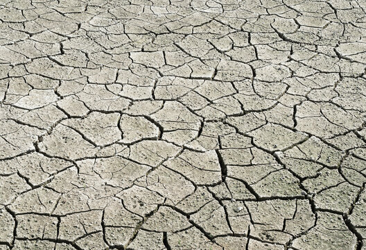 Dry cracked earth soil background texture concept of drought climate change global warming
