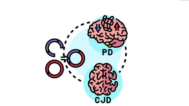 Prion proteins undergoing conformational change and misfolding are causing neurodegenerative conditions like parkinson's disease and creutzfeldt jakob disease, disease mechanisms