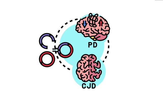 Prion protein misfolding is a complex pathological process affecting the brain. Leading to neurodegenerative disorders like parkinson's disease and creutzfeldt jakob disease