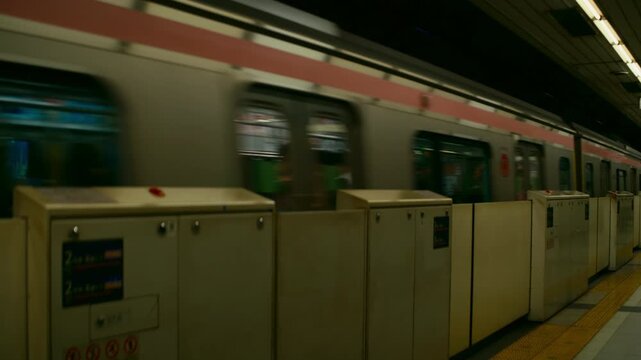 A commuter train moves behind platform screen doors at a Tokyo station in Japan while passengers pass through the foreground. This captures commuting and passenger movement through the rail network.