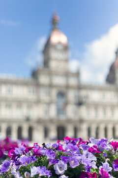La Coruna, Spain:  Flowers in Praza de Mar&iacute;a Pita with the defocused City Hall in the background