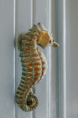 Ornamental Vintage Bronze Seahorse Shaped Door Knocker Mounted on Painted Wooden Door Panel © ikuday