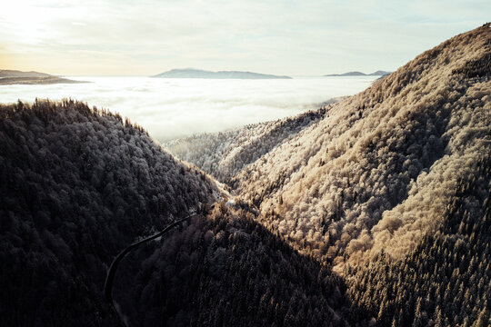 Golden light on forested slopes above a cloud inversion