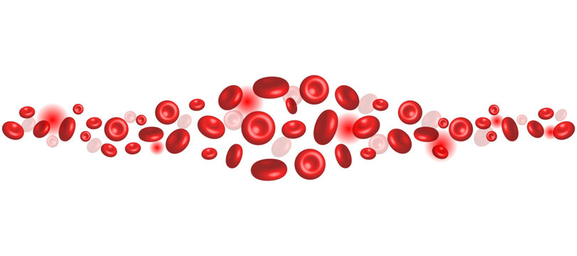 Realistic red blood cells flowing through a blood vessel in a microscopic view, perfect for healthcare, medical, and biological science presentations and education.