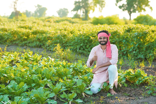 young indian farmer sitting at green agricultural radish field