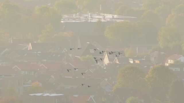 Birds flying thru the sky in the fall captured by a drone zoom shot.
