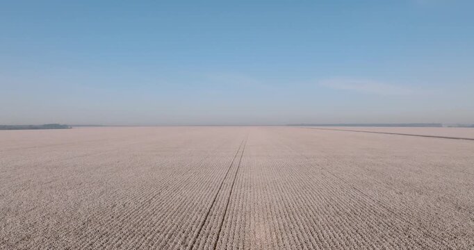 Aerial rising revealing cotton farm at harvest time