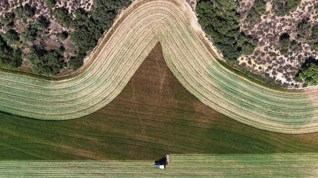 TRACTOR SEGANDO HIERVA, ALFALFA, FORRAJE