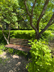 Wooden bench under trees in sunny green garden © TanyaArt