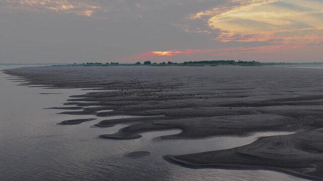 Aerial Top Down View of Mallard Ducks on Sandbar Wetland Dongting Lake