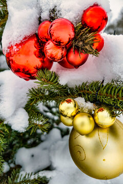 A Christmas tree is decorated with bright red and gold ornaments. Snow covers the branches, creating a festive winter scene. The setting celebrates the holiday season