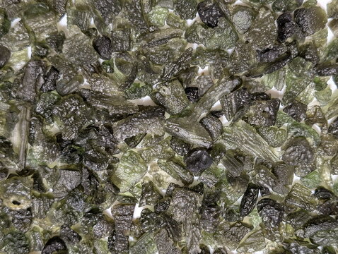 Raw Moldavite Tektite Stones Macro Texture Detail