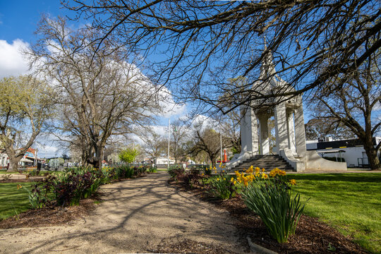 A path lined with spring daffodils leads through the Beaufort Memorial Garden toward a war memorial monument. A dignified civic commemoration space in the town center of Beaufort, Victoria, Australia