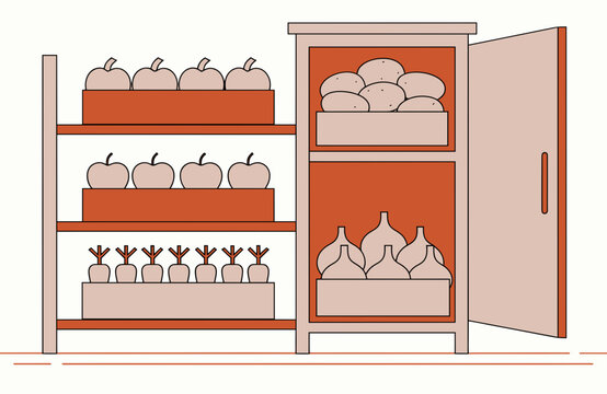 Harvest storage with apples, root vegetables and preserved crops arranged on shelves and in cabinet for seasonal food keeping and autumn preparation