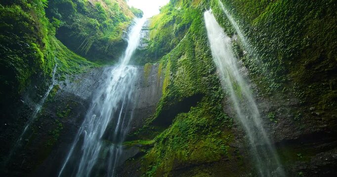 Amazing Beautiful Madakaripura waterfall in tropical rainforest in national park at East Java, Indonesia, Bottom view waterfall landscape for Travel background