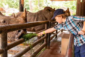 Child feeding rhino at zoo. © Rawpixel.com