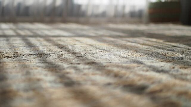 Morning light falls on a carpet indoor 